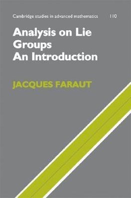 Analysis on Lie Groups