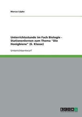 Unterrichtsstunde im Fach Biologie -  Stationenlernen zum Thema "Die Honigbiene" (6. Klasse)