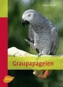 Graupapageien