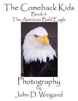 The Comeback Kids, Book 4, The American Bald Eagle