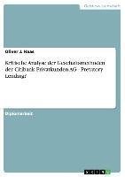 Kritische Analyse der Geschäftsmethoden der Citibank Privatkunden AG - Pretatory Lending?