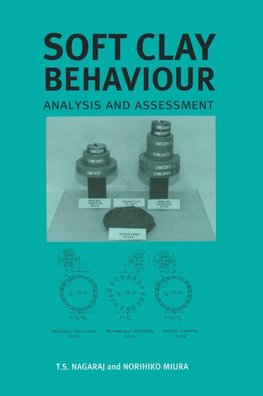 Soft Clay Behaviour Analysis & Assessmen