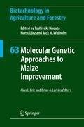 Molecular Genetic Approaches to Maize Improvement