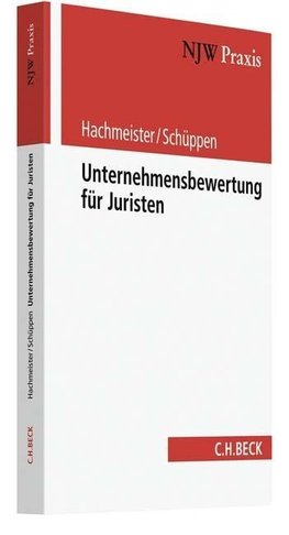 Unternehmensbewertung für Juristen