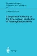 Comparative Anatomy of the External and Middle Ear of Palaeognathous Birds