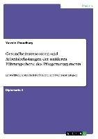 Gesundheitsressourcen und Arbeitsbelastungen der mittleren Führungsebene des Pflegemanagements