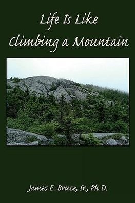 Life Is Like Climbing a Mountain