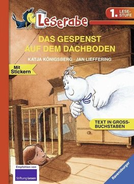 DAS GESPENST AUF DEM DACHBODEN