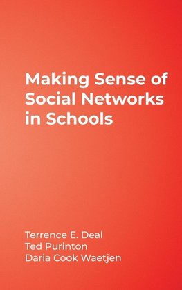 Making Sense of Social Networks in Schools