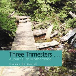 Three Trimesters ... A Journal to Motherhood