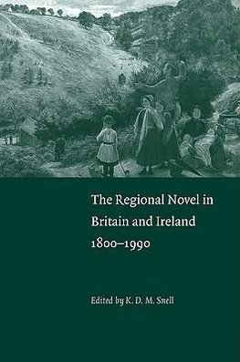 The Regional Novel in Britain and Ireland