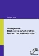 Strategien der Flächenkreislaufwirtschaft im Rahmen des Stadtumbau-Ost