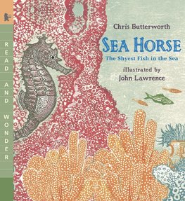 Sea Horse: The Shyest Fish in the Sea