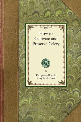 How to Cultivate and Preserve Celery