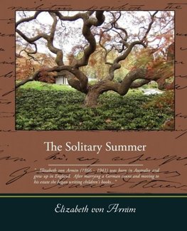 The Solitary Summer