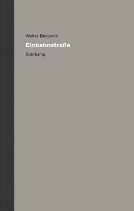 Werke und Nachlaß. Kritische Gesamtausgabe 8