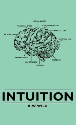 Intuition