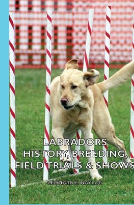 Labradors - History, Breeding, Field Trials & Shows