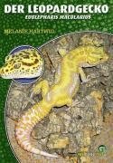 Der Leopardgecko - Eublepharis Macularius