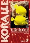 Thaler, E: Doktorfische