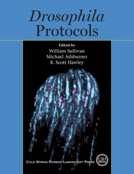 Drosophila Protocols