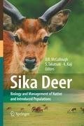 Sika Deer