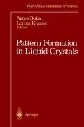 Pattern Formation in Liquid Crystals