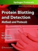 Protein Blotting and Detection