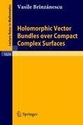 Holomorphic Vector Bundles over Compact Complex Surfaces