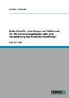 Biokraftstoffe - Eine Chance auf Wohlstand für die Entwicklungsländer oder eine Verschärfung des Nord-Süd-Konfliktes?