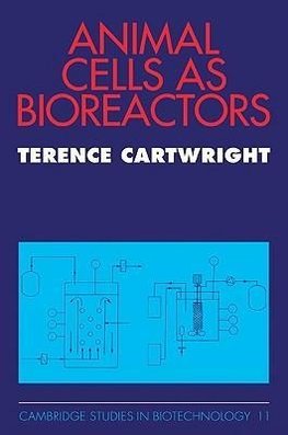 Animal Cells as Bioreactors