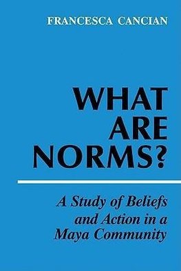 What Are Norms?