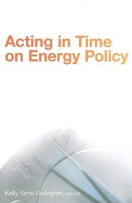 Acting in Time on Energy Policy