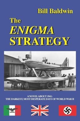 THE ENIGMA STRATEGY