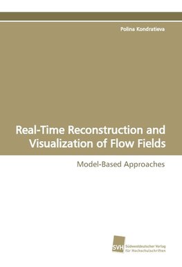 Real-Time Reconstruction and Visualization of Flow Fields