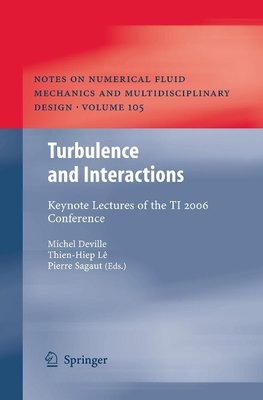 Invited Lectures of the Turbulence and Interaction 2006 Conf