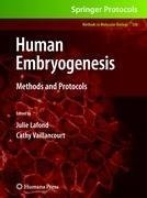 Human Embryogenesis