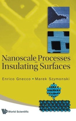 Nanoscale Processes on Insulating Surfaces