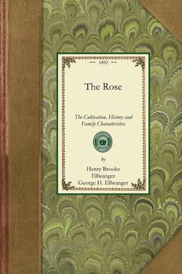 The Rose