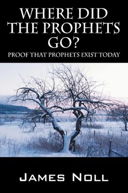 Where Did The Prophets Go?