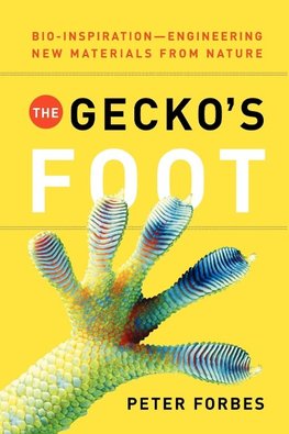 The Gecko's Foot