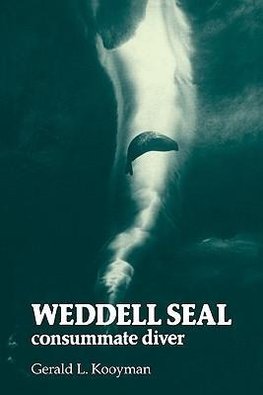 Weddell Seal