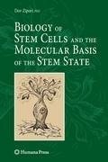 Biology of Stem Cells and the Molecular Basis of the Stem State