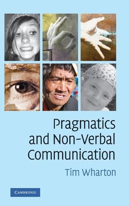 Pragmatics and Non-Verbal Communication