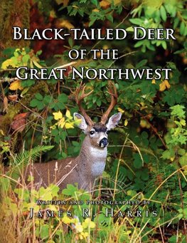 Black-Tailed Deer of the Great Northwest