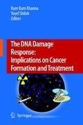 The DNA Damage Response: Implications on Cancer Formation and Treatment