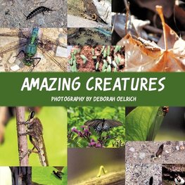 Amazing Creatures