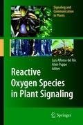 Reactive Oxygen Species in Plant Signaling