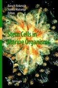 Stem Cells in Marine Organisms