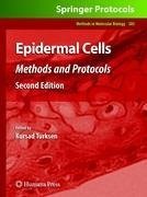 Epidermal Cells